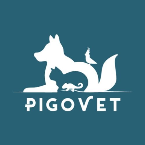 cropped-20240514_Site-Pigovet-V2-favicon.jpg